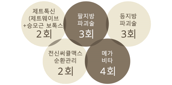 제트톡신 (제트웨이브+승모근 보톡스) 2회, 팔지방 파괴술 3회, 등지방 파괴술 3회, 전신써큘맥스 순환관리 2회, 메가 비타 4회